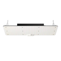 LED-kasvivalaisin 200W täysspektrinen himmennettävä alumiini IP65 ketjutettava sisäkasveille