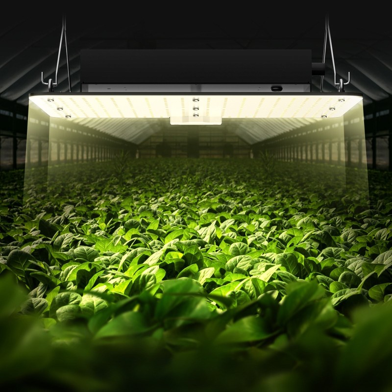 LED-kasvivalo 150W täyden spektrin himmennettävä IP65 alumiinirunkoinen sisäkasvatukseen