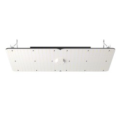 LED-kasvivalaisin 300W täyden spektrin himmennettävä Samsung 281B 3x3/4x4 kasvitelttaan
