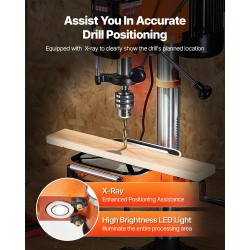 12-tuumainen penkkipylväsporakone 750 W 340–2200 kierrosta/min 0–45° työpöytä 304,8 mm kääntövara