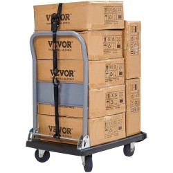 Räikkäkuormaliinat polyesteri 25 mm 4 6 m 4 kappaletta murtolujuus 998 kg