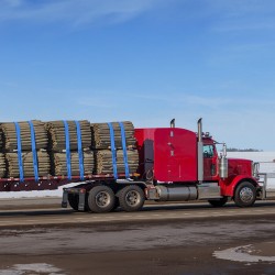 Vinssihihnat polyesteri 9,1 m 10,2 cm 2,7 t kantavuus 10 kpl