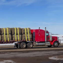 Vinssihihnat polyesteri 10,2 cm x 9,1 m työkuorma 2,7 t 10 kpl