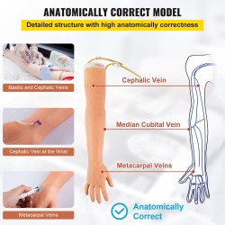 Harjoittelukäsi kanylointiin ja verinäytteenottoon lateksiverisuonet vaihdettavat osat säädettävä teline kuljetuslaukku