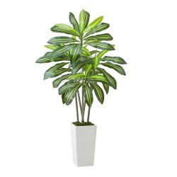 Tekodracaena 1524 mm korkea PE lehdillä valkoinen ruukku 1 kpl sisäkäyttöön