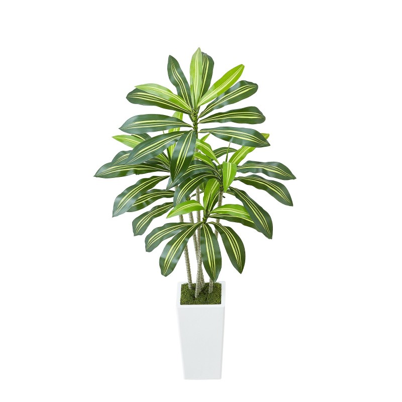 Tekodracaena 1524 mm korkea PE-lehdillä valkoinen ruukku 1 kpl sisäkäyttöön