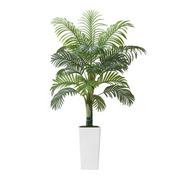 Tekokasvi paksurunkoista arekapalmu polyeteenilehdet 1524 mm korkea valkoisessa ruukussa sisä ja ulkokäyttöön