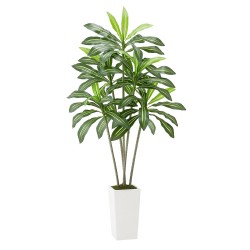 Tekodracaena 1829 mm valkoinen korkea ruukku PE muovilehdet sisä ja ulkokäyttöön