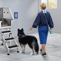 Koiran kylpyallas 304-ruostumattomasta teräksestä 864 mm sähkösäädettävä kantavuus 100 kg