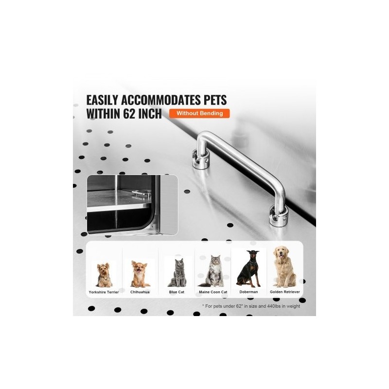 Lemmikkien kylpyallas ruostumattomasta teräksestä rampilla saippualokerolla hanalla ja lisävarusteilla