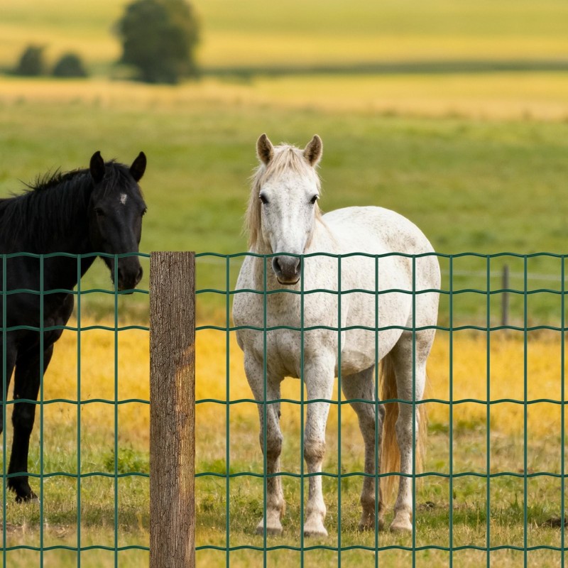 Maatalousverkko galvanoidusta rautalangasta PVC-pinnoitteella 1 x 20 m 4 x 4 tuumaa