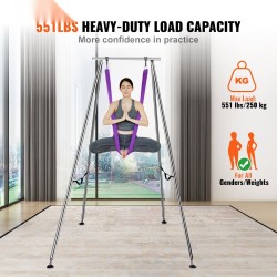 Ilmajoogakehikko ja ilmajoogaliina kromipinnoitetusta teräksestä violetti 12 x 2,6 m 250 kg