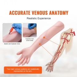 Verinäytteenoton harjoituskäsivarsi muovia ja lateksia sisältää IV-letkun ja perhosneulat