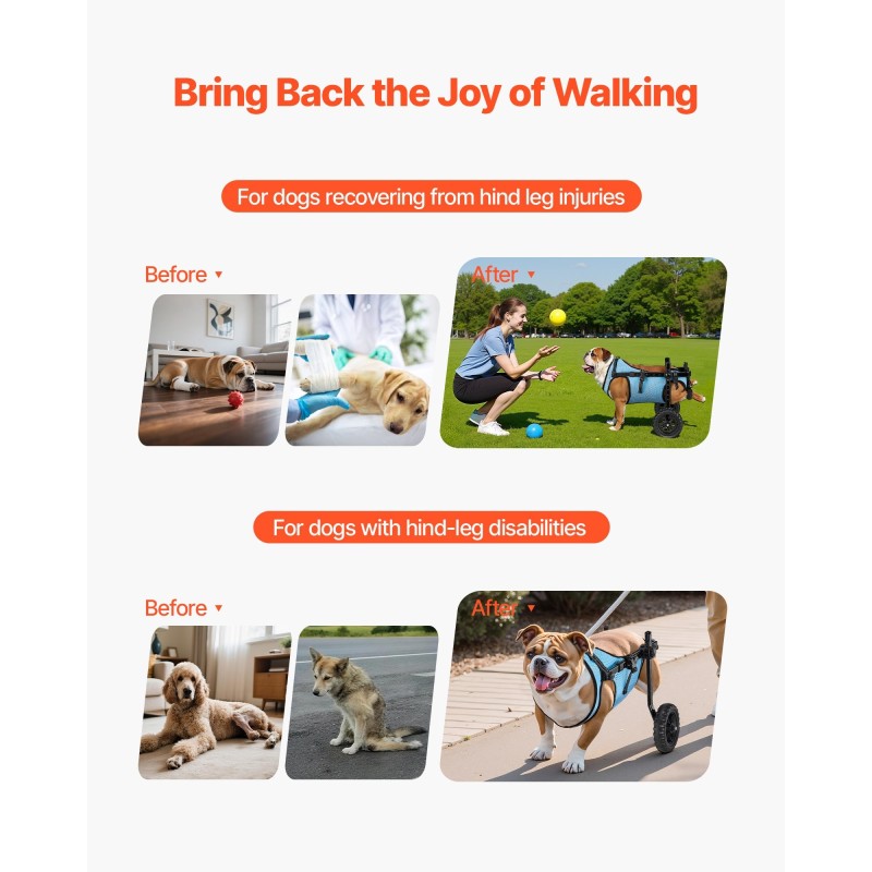 Koiran säädettävä pyörätuoli alumiinirungolla takajaloille iskunvaimentavilla pyörillä enintään viisitoista kilogrammaa