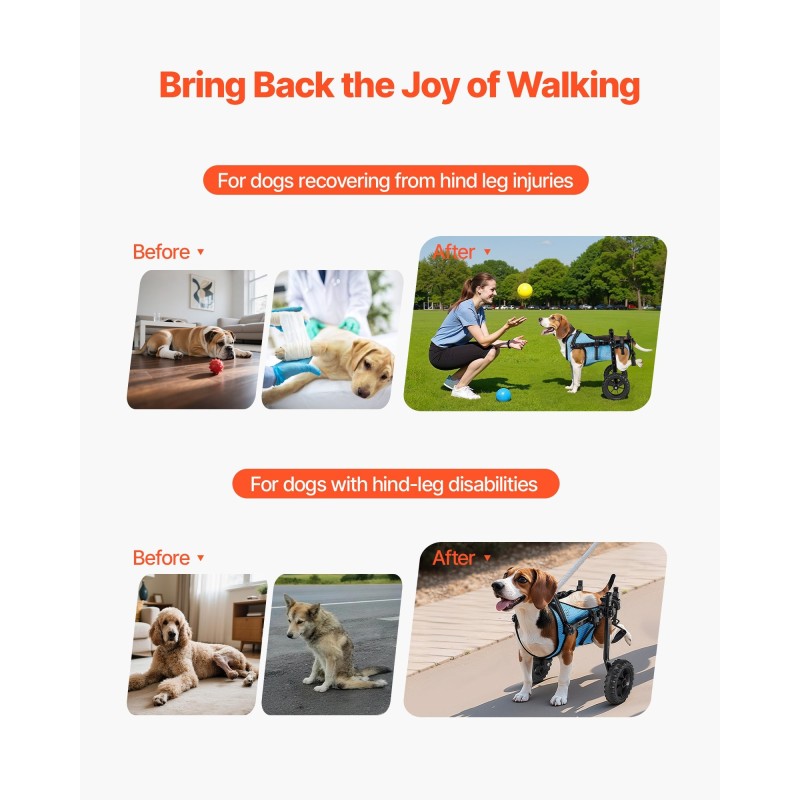 Koiran takajalkojen pyörätuoli kevyt alumiinirunko säädettävä ja iskunvaimentavilla pyörillä pienille koirille