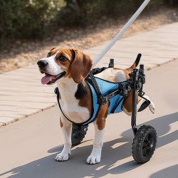 Koiran takajalkojen pyörätuoli kevyt alumiinirunko säädettävä ja iskunvaimentavilla pyörillä pienille koirille