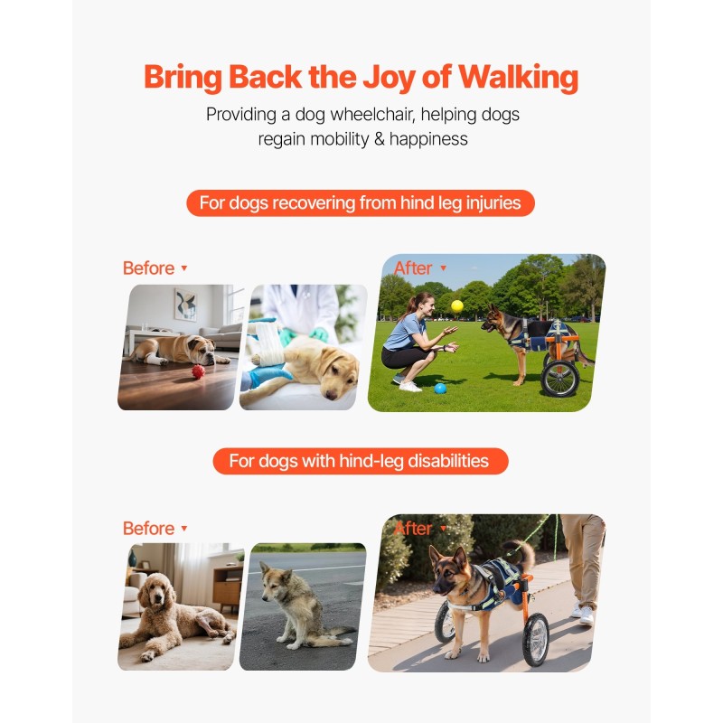 Koiran pyörätuoli takajaloille kevyt alumiinirunko 2 pyörää säädettävä 21,8–39,9 kg