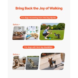 Takajalkojen pyörätuoli koiralle alumiinirunkoinen säädettävä iskunvaimennuspyörillä erittäin pieni enintään kymmenen kiloa