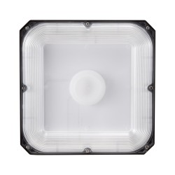 LED katosvalot 4 kpl 80W 8800 lm 5000K IP65 painevalettu alumiini