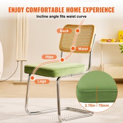 Rottinkituolit 2 kpl muovirottinki samettiverhoillut vihreät metalliset kelkkarungot