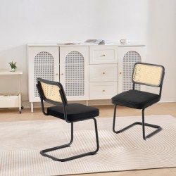 Rottinkituolisetti 2 kpl samettiverhoiltu istuin rottinkiselkänojalla metallinen kantileverrunko