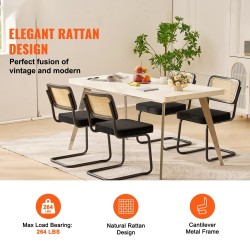 Ruokapöydän tuolit rottinkiselkänojaiset samettipäällysteiset metallirungoilla 4 kpl