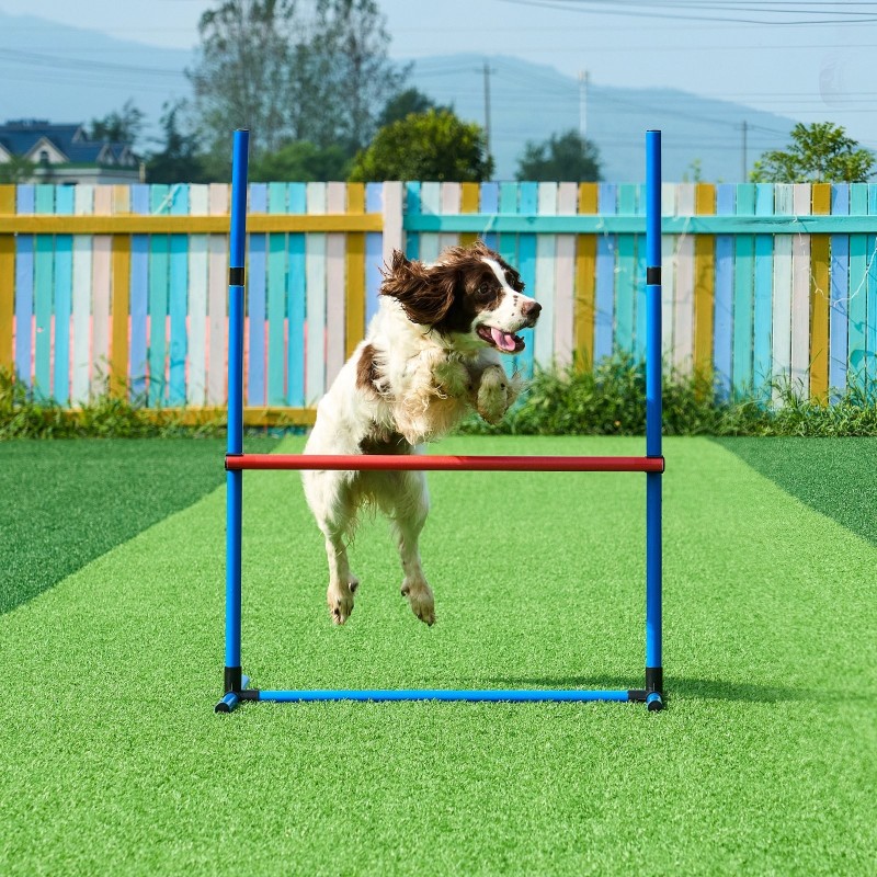 Koiran agility-setti PVC-muovinen 5-osainen säädettävät hyppyesteet 6 pujottelukeppiä tunneli