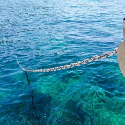 Veneen ankkuriketju 316 ruostumaton teräs 6 mm 1,2 m 771 kg työkuorma