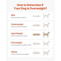 Sähköinen koirien juoksumatto hiiliteräsrunkoinen Oxford-kangas 200 paunaa taitettava U-muotoinen kaari