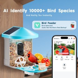 Älykäs lintulauta ulkokäyttöön 2K kamera 145 asteen laajakulma 2L ruokasäiliö kaksi aurinkopaneelia