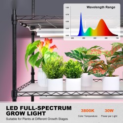 Kuusitasoinen maalattu rautainen kasviteline 150 watin täysspektrivaloilla 180 cm korkea