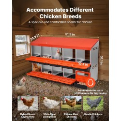 Kaksikerroksinen 10-osastoinen munintapesä galvanoidusta teräksestä ja polypropeenimuovista siipikarjalle