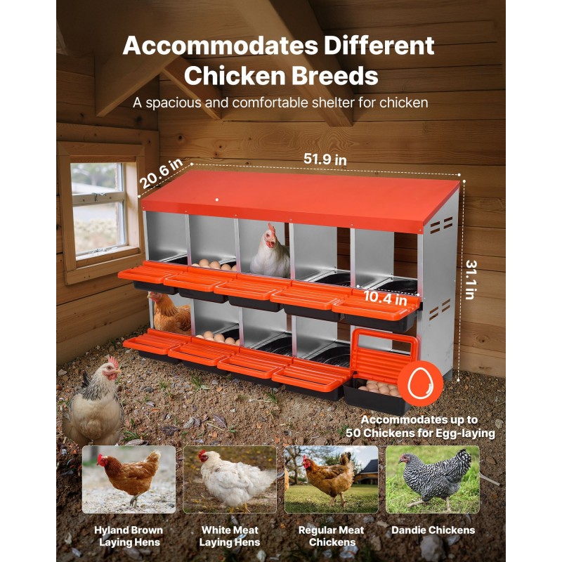 Kaksikerroksinen 10-osastoinen munintapesä galvanoidusta teräksestä ja polypropeenimuovista siipikarjalle