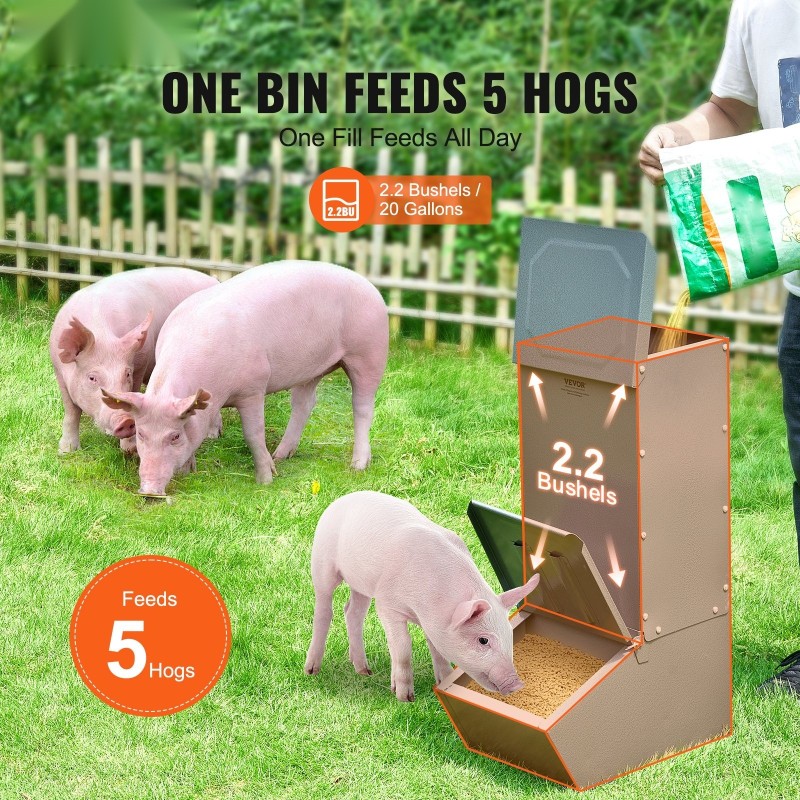 Sikasyöttölaite galvanoidusta teräksestä 2,2 busselin tilavuudella 5 sian ruokintaan