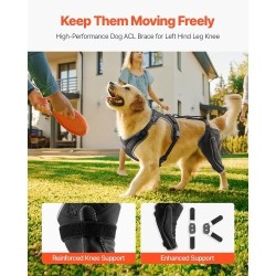 Koiran polvituki neopreeni XL vasemmalle takajalalle saranoitu stabilisaattori heijastavilla reunuksilla