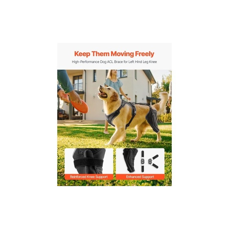 Koiran polvituki neopreeni XL vasemmalle takajalalle saranoitu stabilisaattori heijastavilla reunuksilla