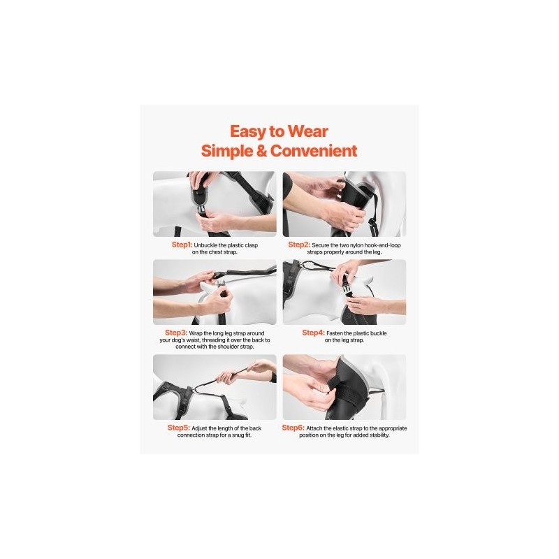 Koiran polvituki neopreeni XL vasemmalle takajalalle saranoitu stabilisaattori heijastavilla reunuksilla