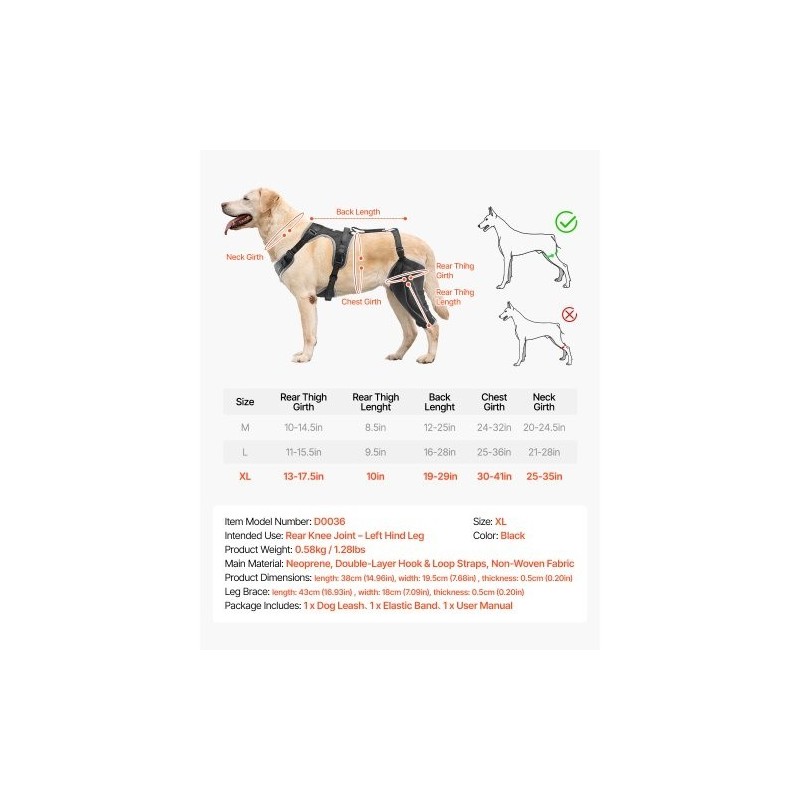 Koiran polvituki neopreeni XL vasemmalle takajalalle saranoitu stabilisaattori heijastavilla reunuksilla