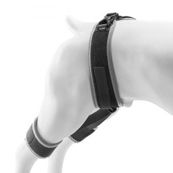 Koiran lonkkatukiliivi hengittävä verkkokangas ja neopreeni XL lonkan ja lantion tukeen