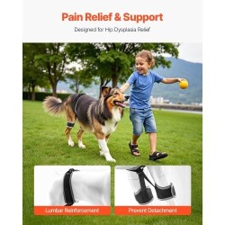Koiran lonkkatukiliivi hengittävä verkkokangas ja neopreeni XL lonkan ja lantion tukeen