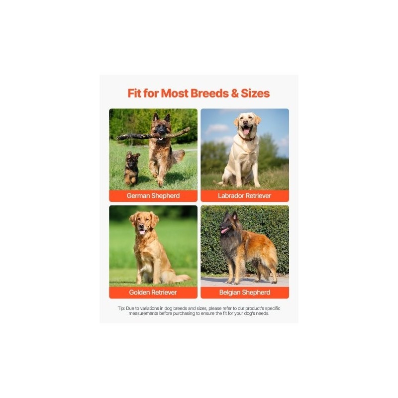 Koiran lonkkatukiliivi hengittävä verkkokangas ja neopreeni XL lonkan ja lantion tukeen