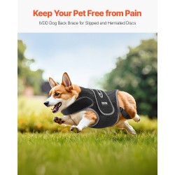 Koiran ortopedinen selkätuki koko M neopreenistä säädettävillä heijastavilla reunuksilla selkärangan tukemiseen
