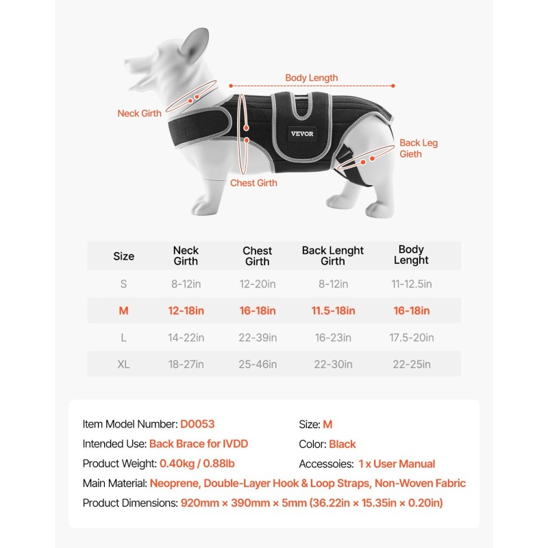 Koiran ortopedinen selkätuki koko M neopreenistä säädettävillä heijastavilla reunuksilla selkärangan tukemiseen