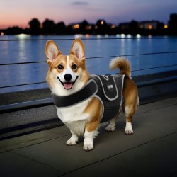 Koiran ortopedinen selkätuki koko M neopreenistä säädettävillä heijastavilla reunuksilla selkärangan tukemiseen