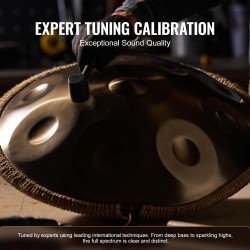 Handpan-rumpu hiiliteräs 55,9 cm 12 säveltä D-molli kultainen