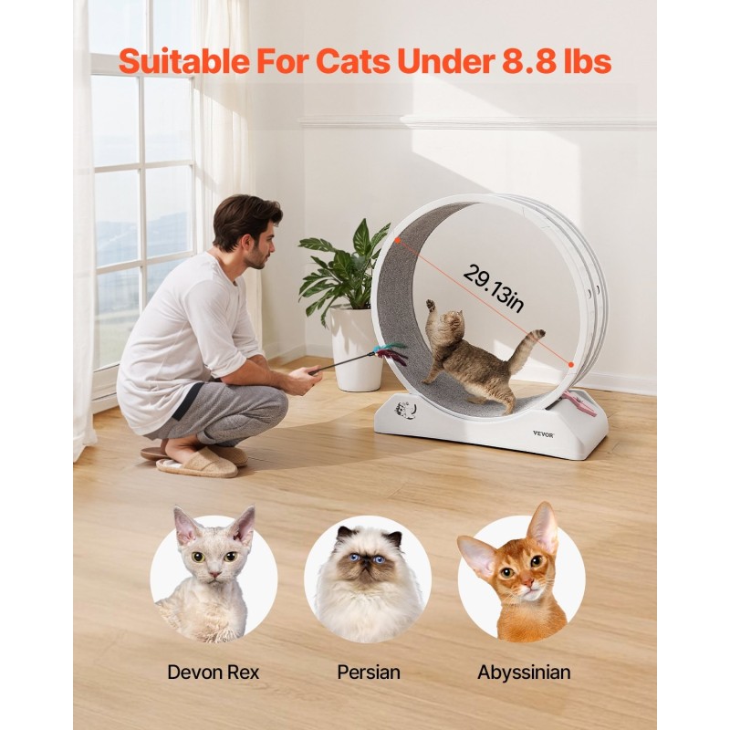 Kissan juoksupyörä PP-muovinen 80 cm hiljaiset rullat irrotettava sisämatto sopii sisäkäyttöön