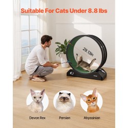 Kissojen juoksupyörä 80 cm PP-muovinen irrotettava juoksualusta sisähalkaisija 74 cm hiljainen