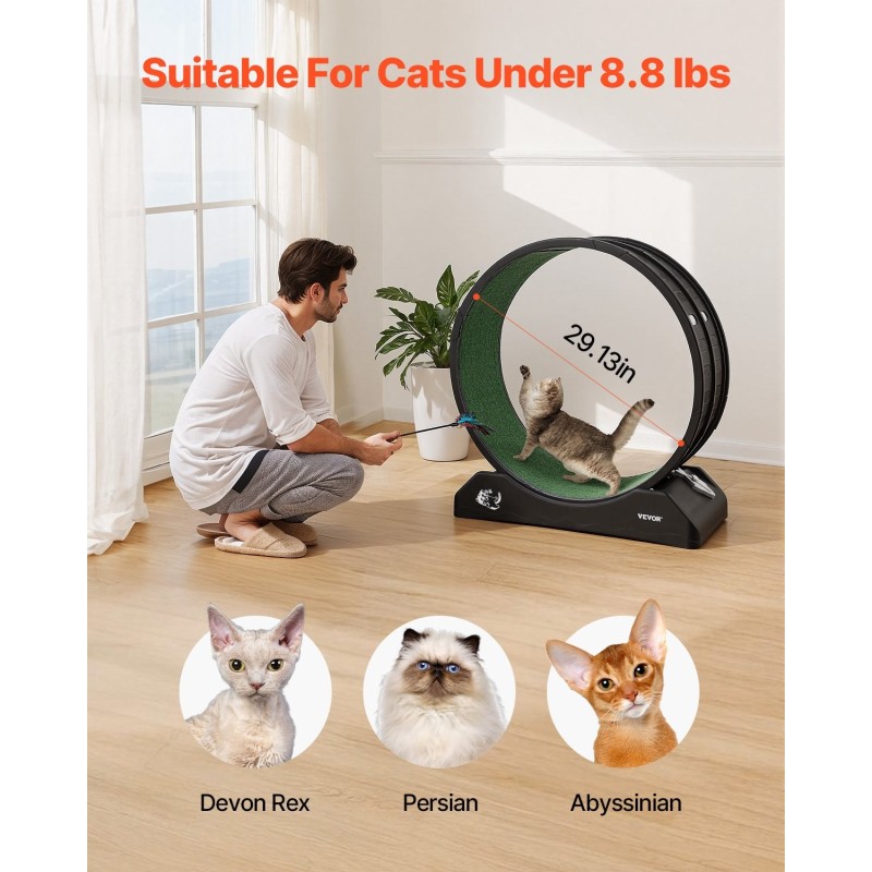 Kissojen juoksupyörä 80 cm PP-muovinen irrotettava juoksualusta sisähalkaisija 74 cm hiljainen