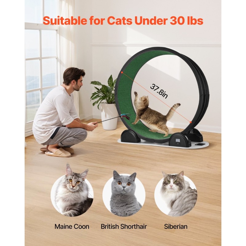 Kissan juoksupyörä sisäkissoille 960 mm sisähalkaisija askelmittarilla hiljainen musta