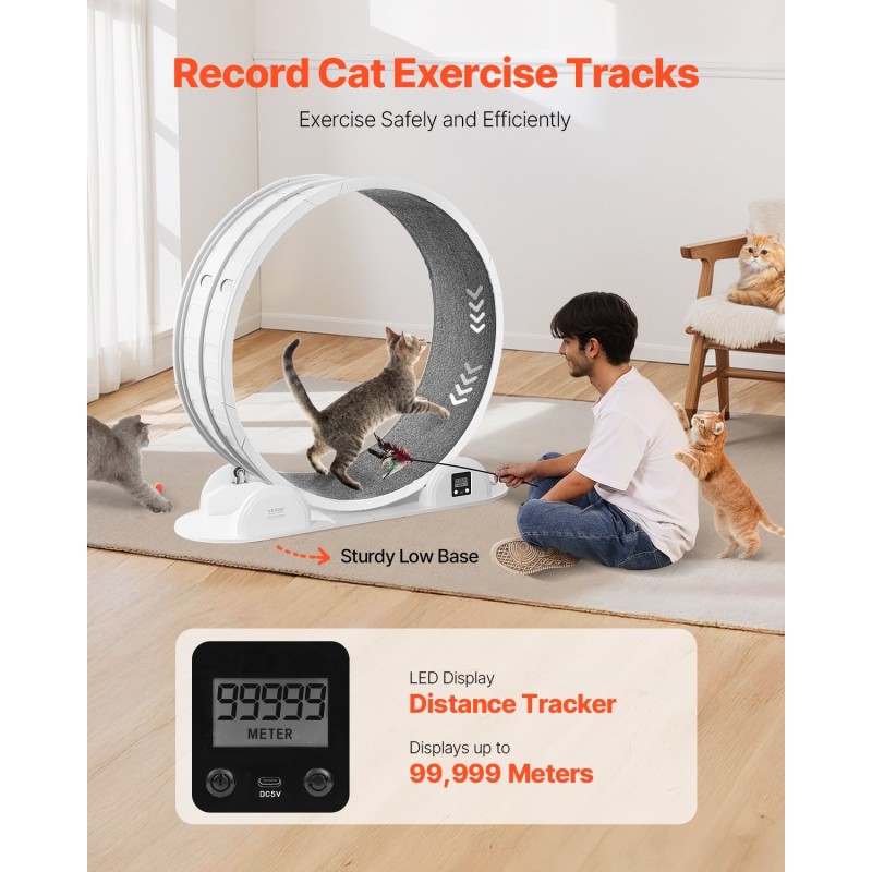 Kissan juoksupyörä ABS ja MDF 1038 mm ulkohalkaisija sisäkissoille askelmittarilla